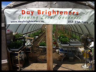 Day Brighteners Farm