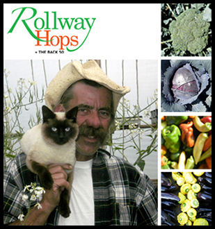 Rollway Hops + the Back 50